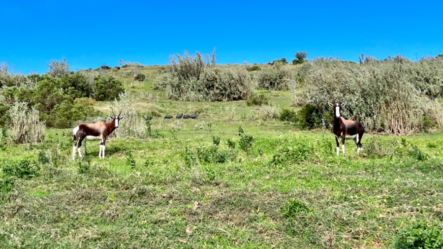  Bedroom Property for Sale in Outeniquasbosch Western Cape